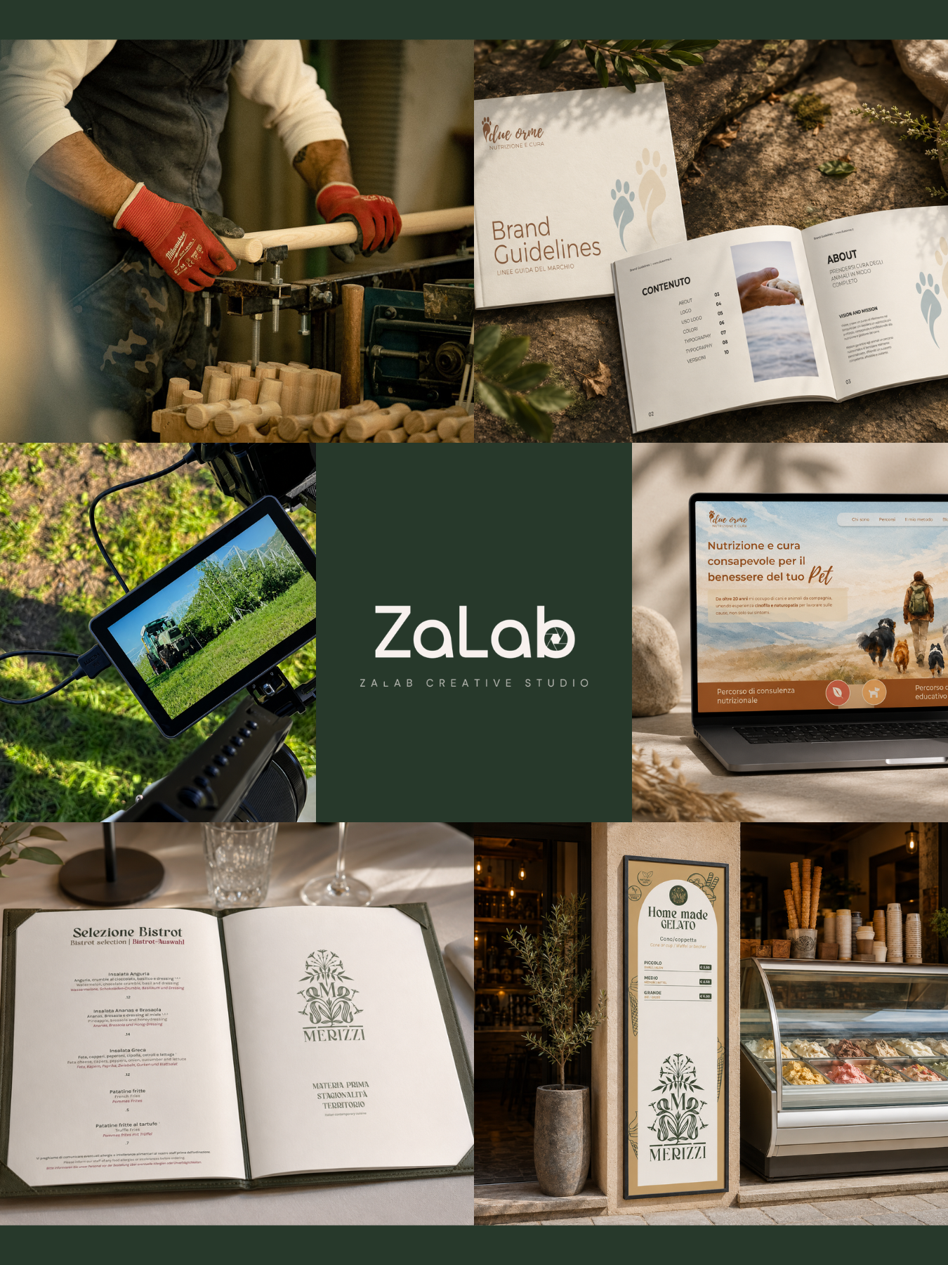 Selezione di progetti ZaLab